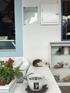 A cat napping in Mykonos