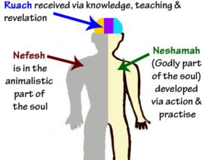 Inspired by an article in CultureTrip, I came across this diagram, illustrating the three different dimensions of the soul