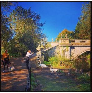 Chiswick House & Gardens