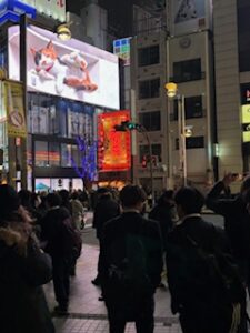 the famous Shinjuku 3d cat billboard