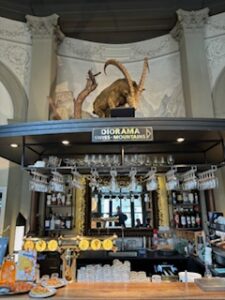 Alpineum Kaffeehaus°Bar