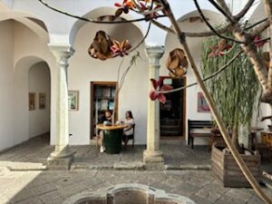 Café Brújula Alcalá is my favourite café in Oaxaca