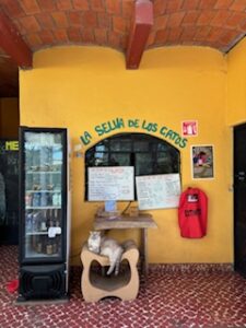 La Selva De Los Gatos