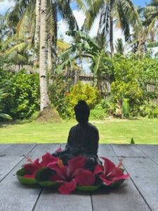 Buddha Resort also offers daily yoga classes