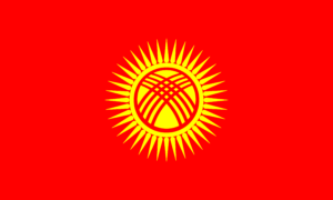 The flag of Kyrgyzstan