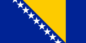 The flag of Bosnia and Herzegovina